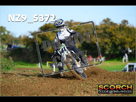 Experts-062