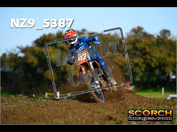 Experts-077