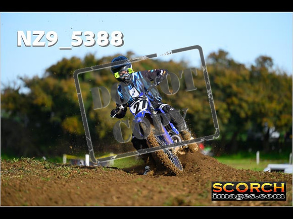 Experts-078
