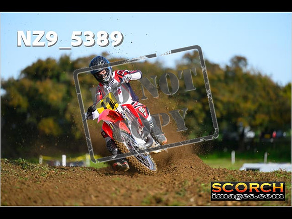 Experts-079