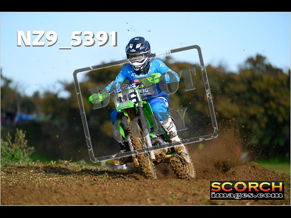 Experts-081