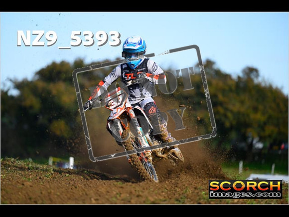 Experts-083