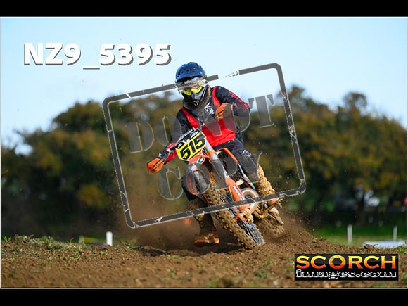 Experts-085