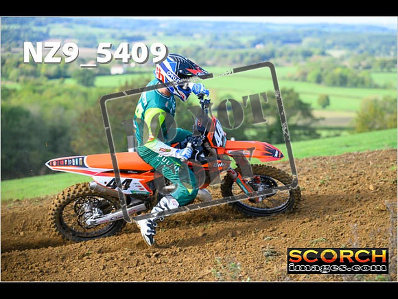 Experts-099