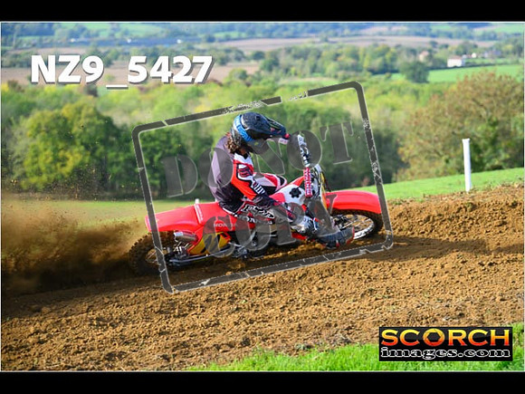 Experts-115