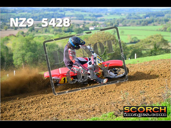 Experts-116