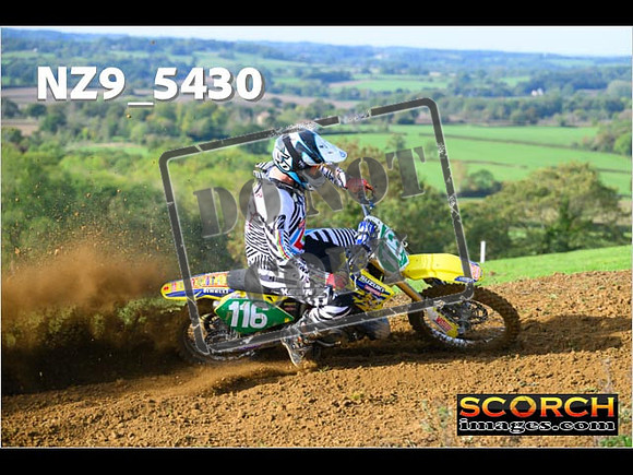 Experts-118