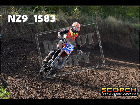 Experts-265