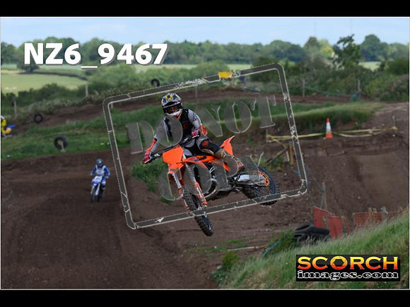 Experts-232