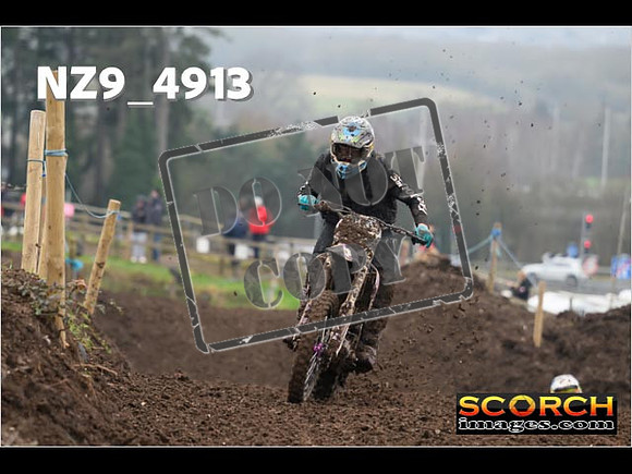 Experts-384