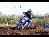Experts-019