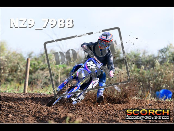 Experts-019
