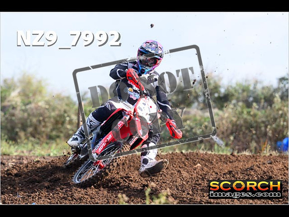 Experts-023