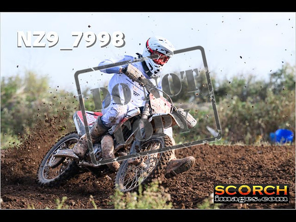Experts-029