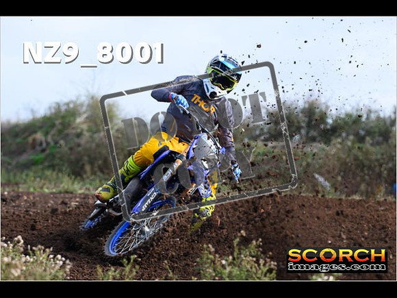 Experts-032