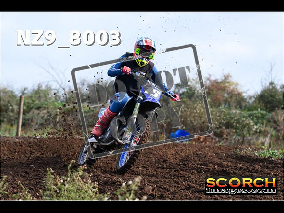 Experts-034