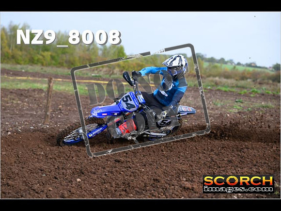 Experts-039