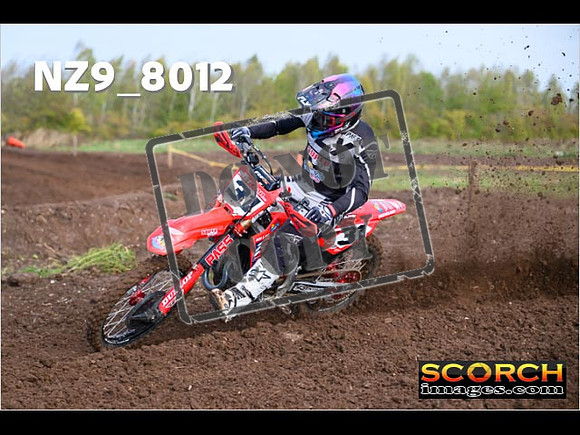 Experts-043