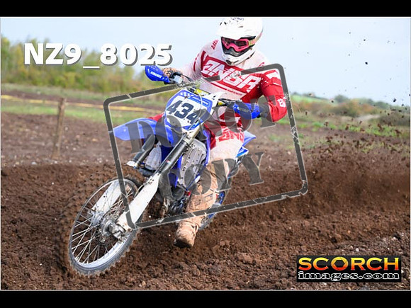Experts-055