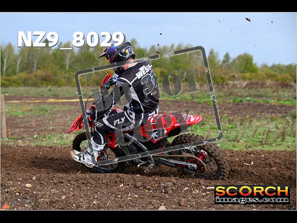 Experts-059