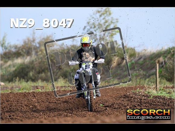 Experts-074