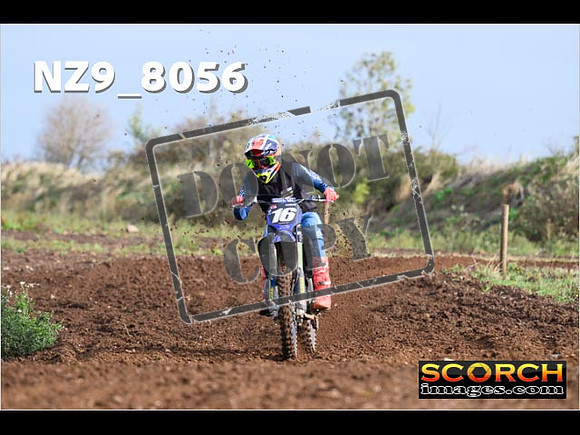 Experts-081