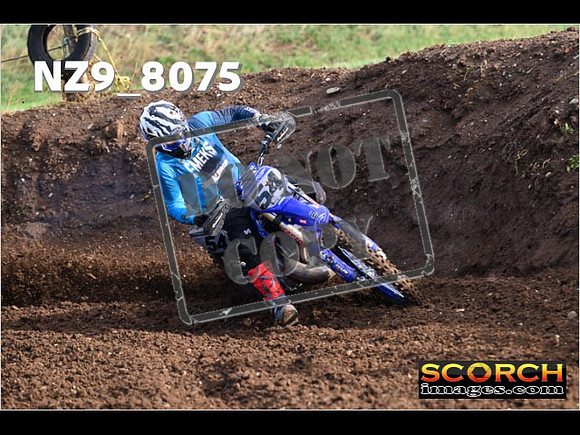 Experts-097