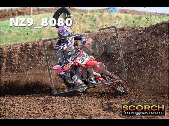 Experts-102
