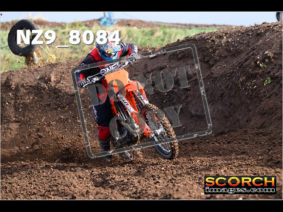 Experts-106