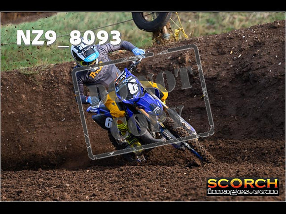 Experts-115