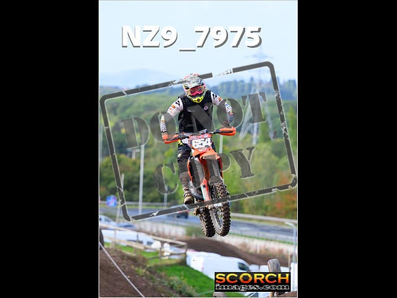 Experts-006