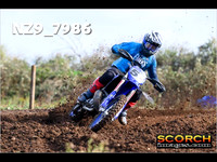 Experts-017