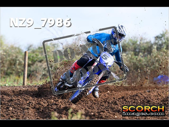 Experts-017