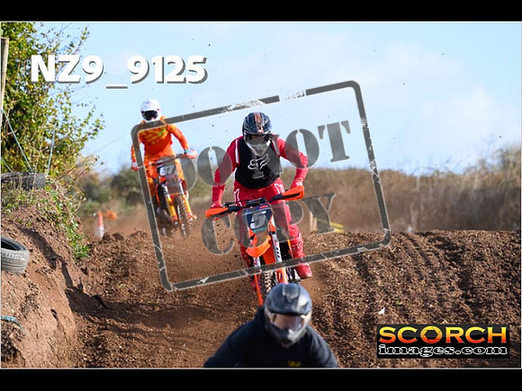 Experts-031