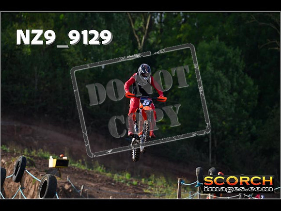 Experts-035