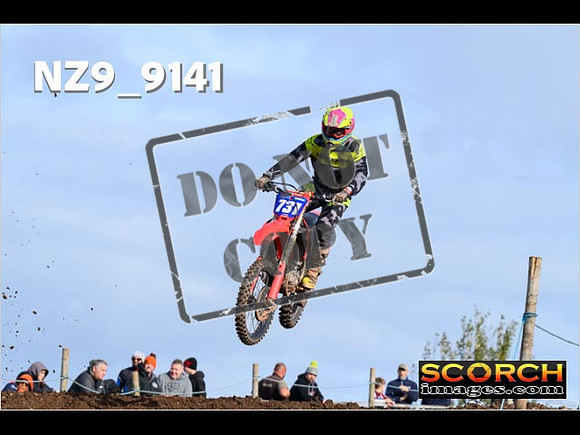 Experts-043