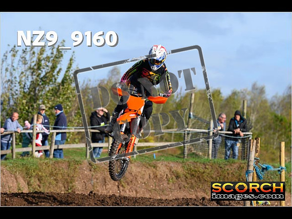 Experts-062