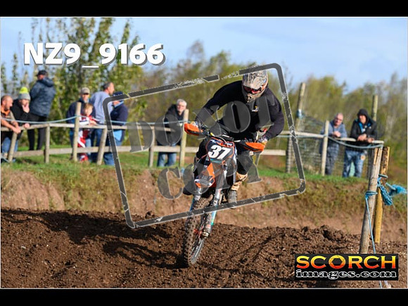 Experts-068