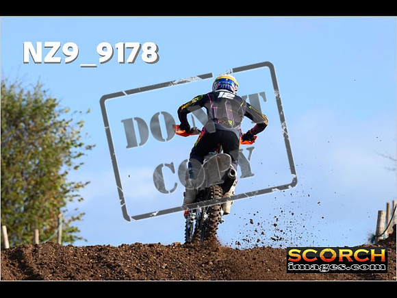 Experts-079