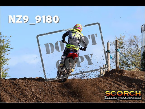 Experts-081