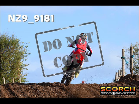 Experts-082