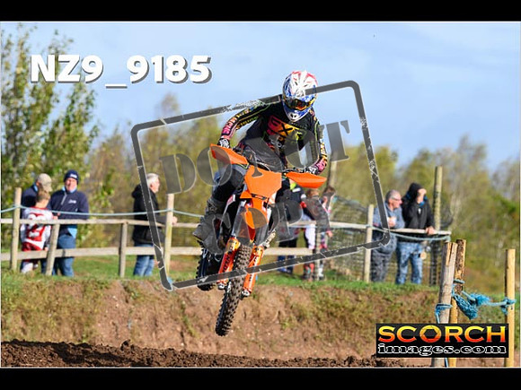 Experts-085