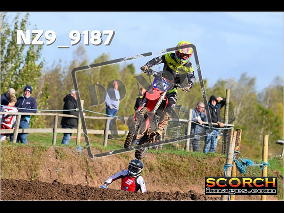 Experts-087