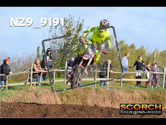 Experts-091