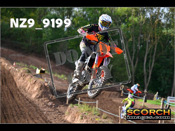 Experts-099