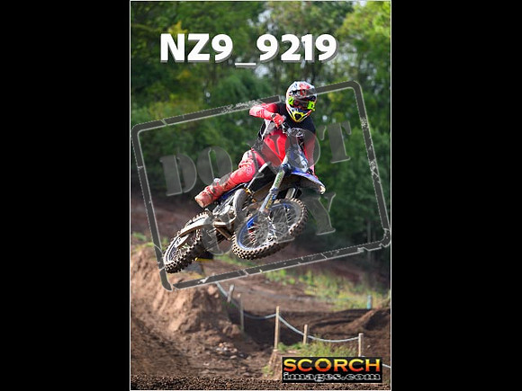 Experts-118