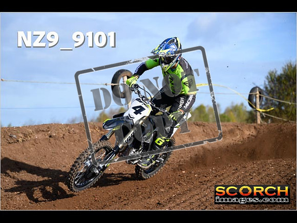 Experts-008