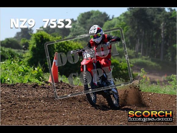Inters Green Orange-078