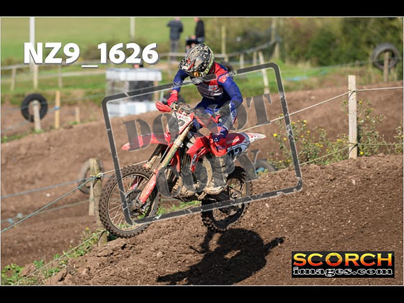 Experts-306