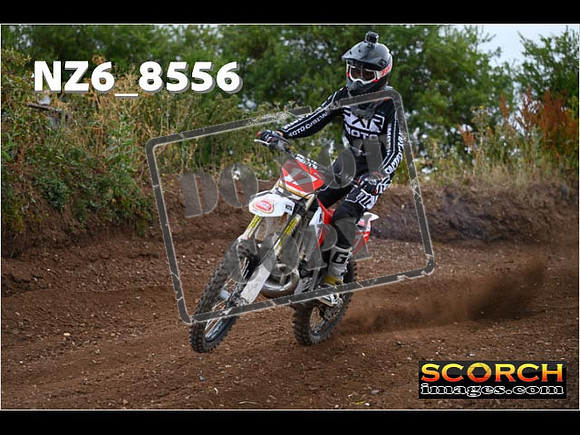Experts-076
